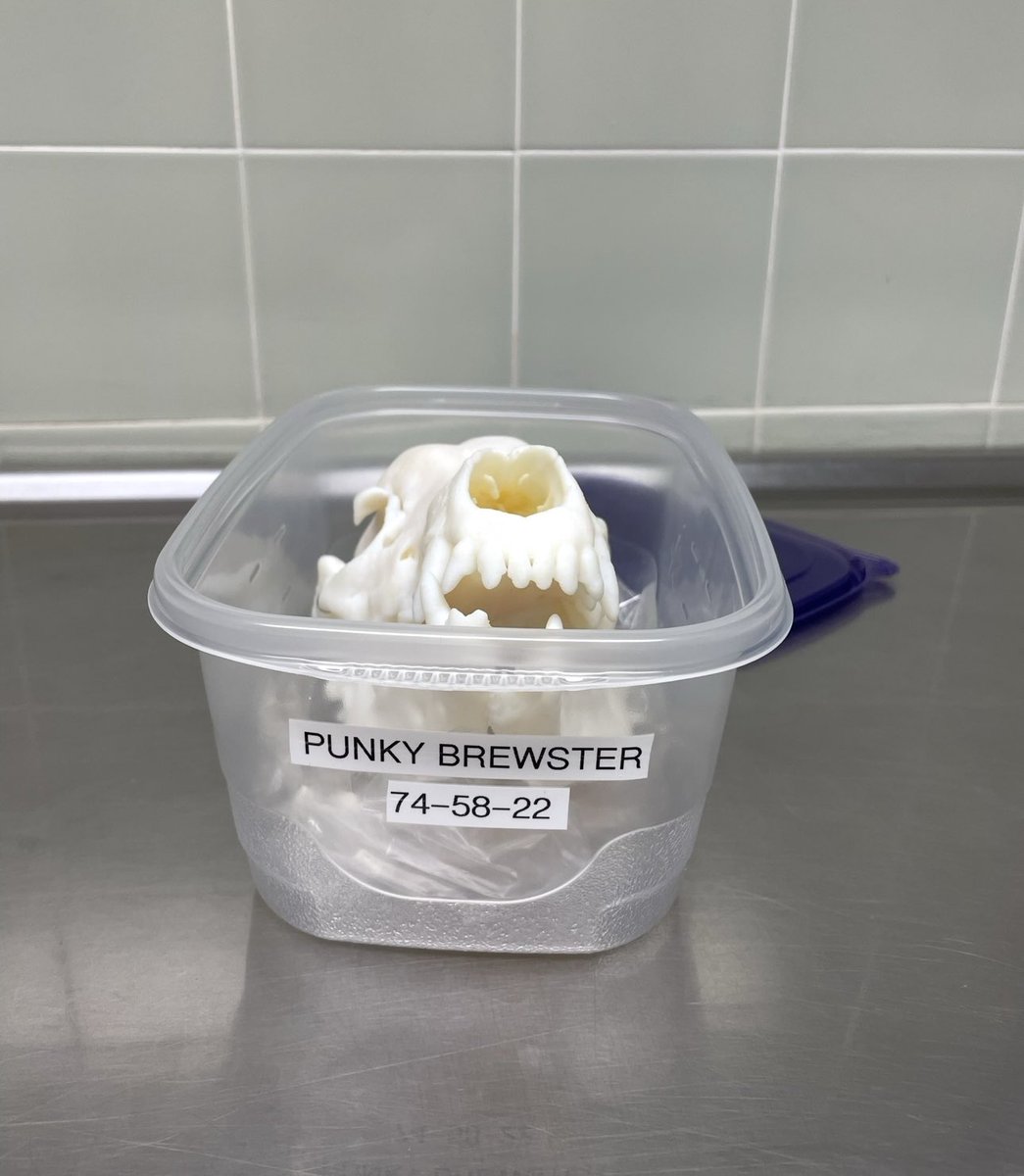 Lindsay Briggs tweet media