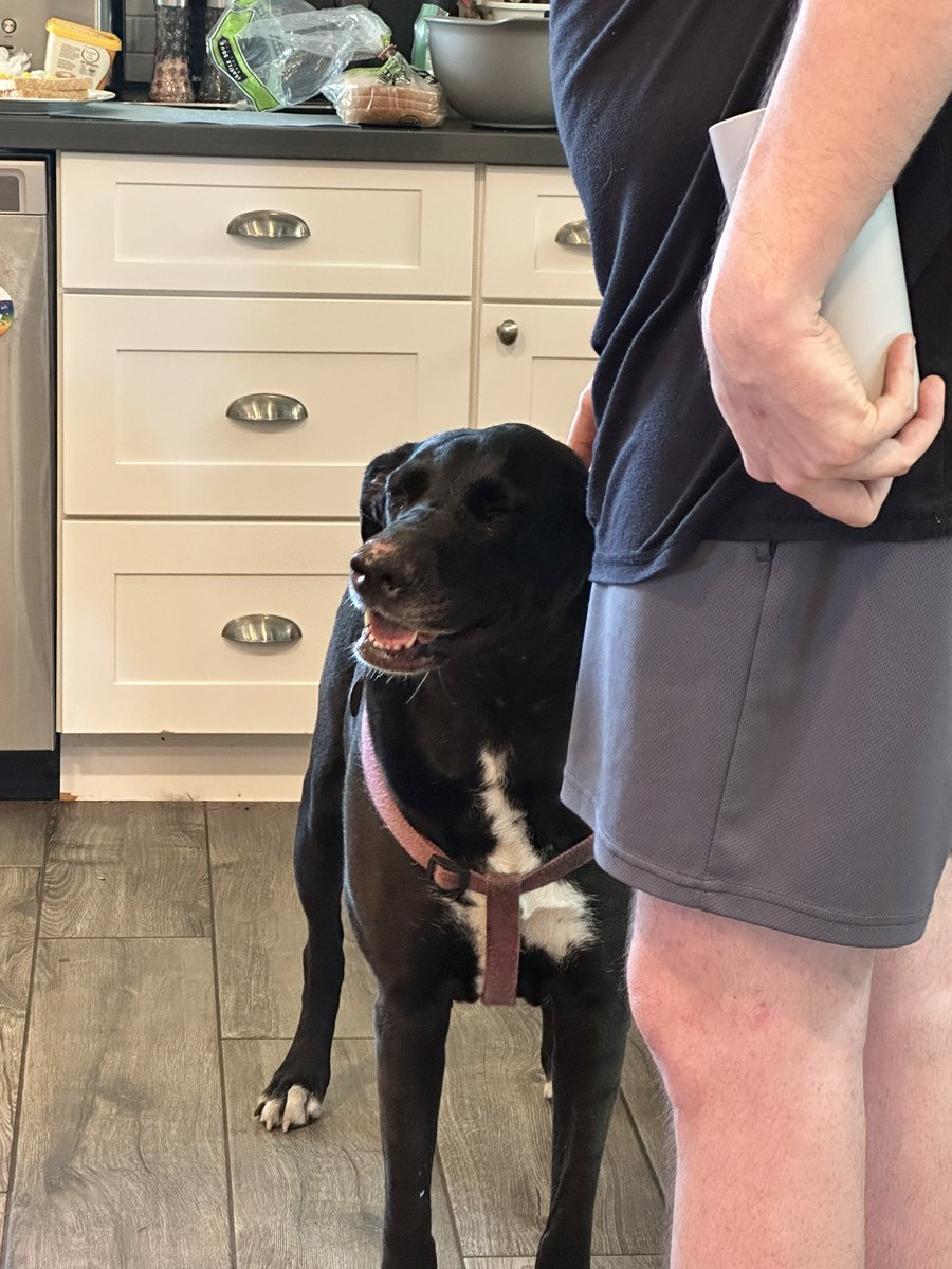 Lindsay Briggs tweet media