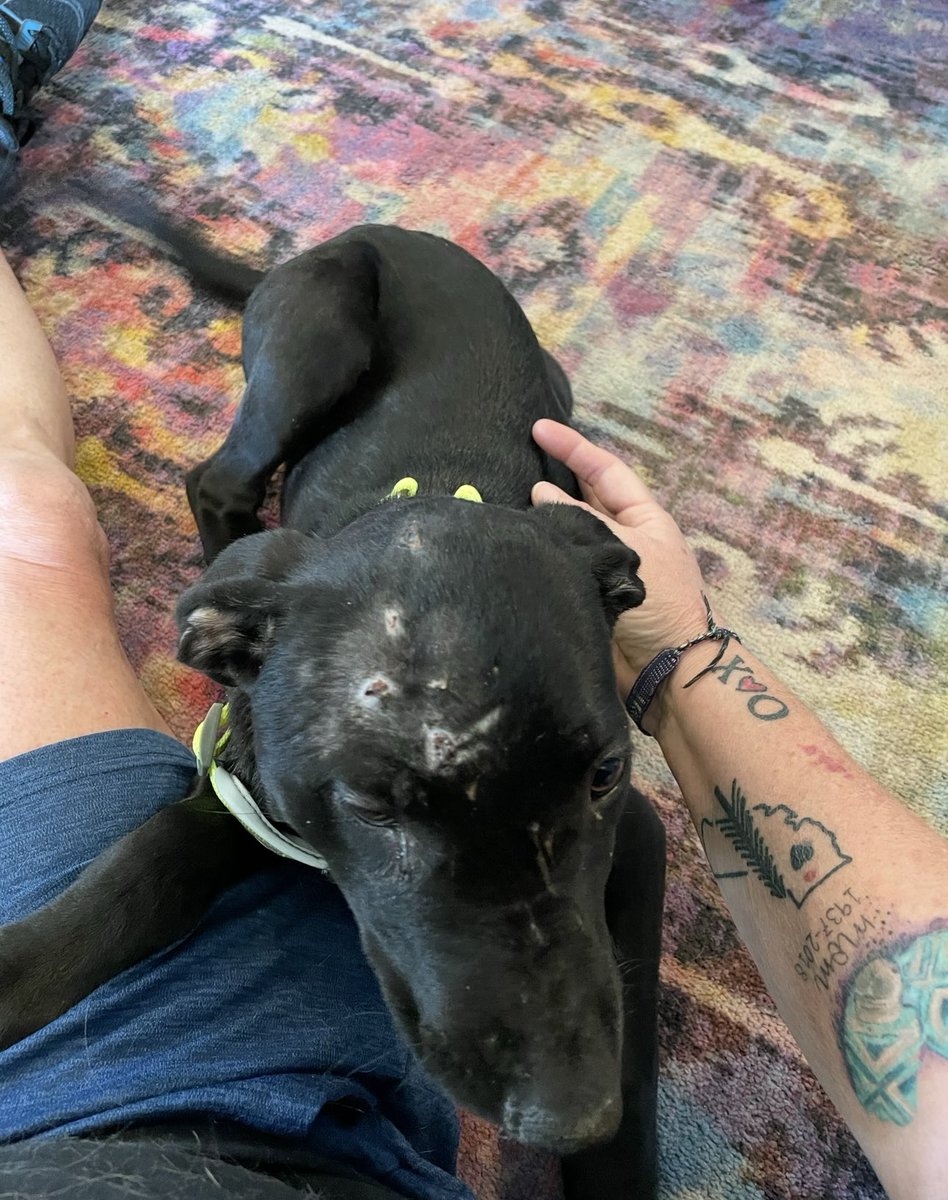 Lindsay Briggs tweet media