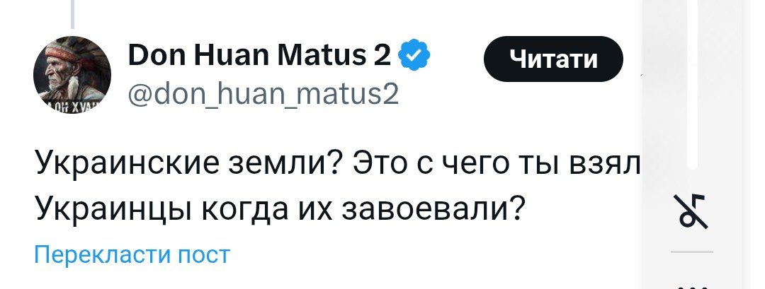Баба і кіт tweet media