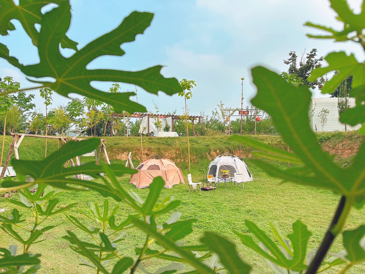 Nintendo tweet media