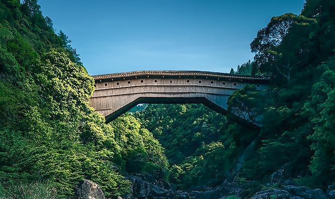 人民日報  People's Daily tweet media