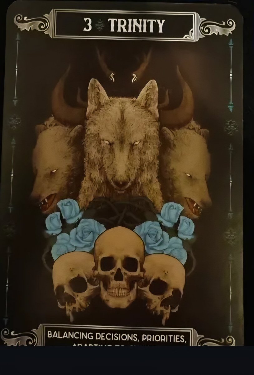 White Rabbit Oracles tweet media