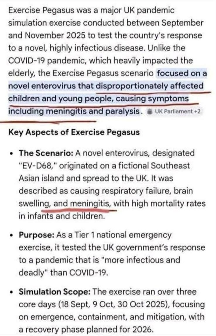 Ghost👻 tweet media