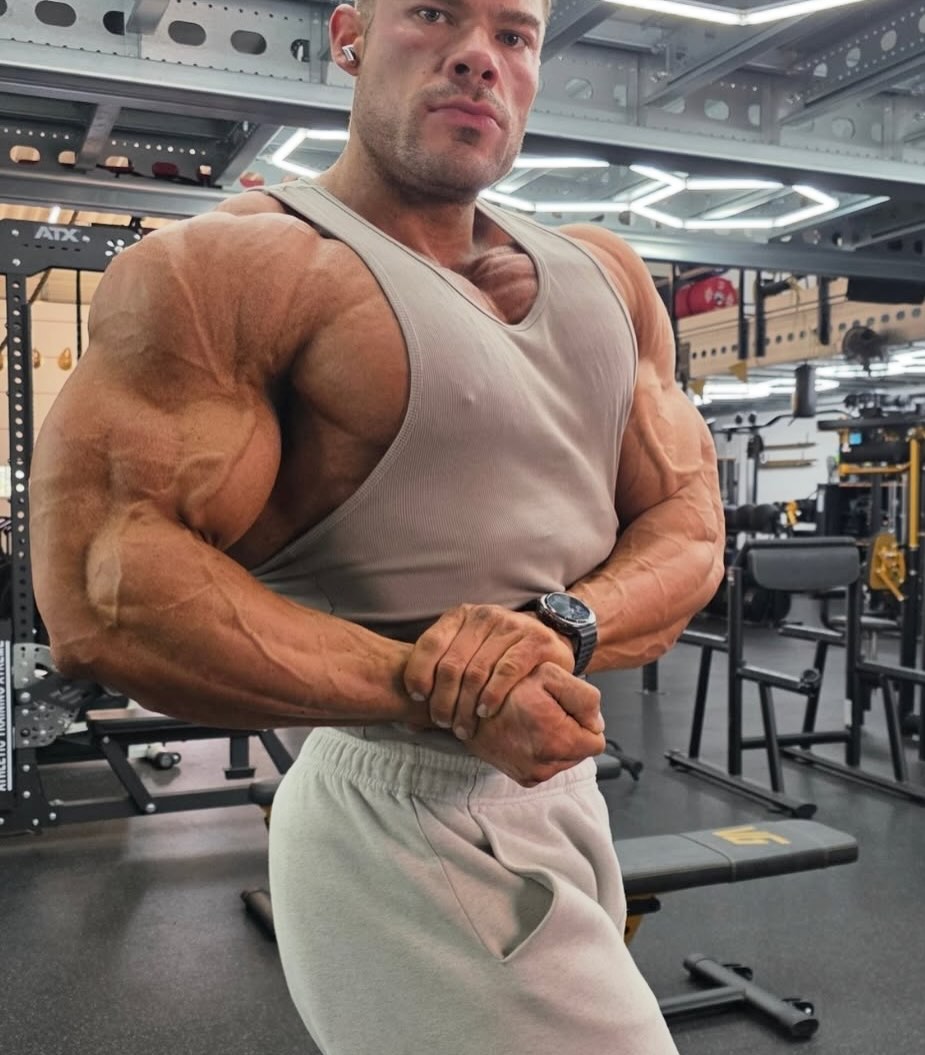 Muscles Anarchy tweet media