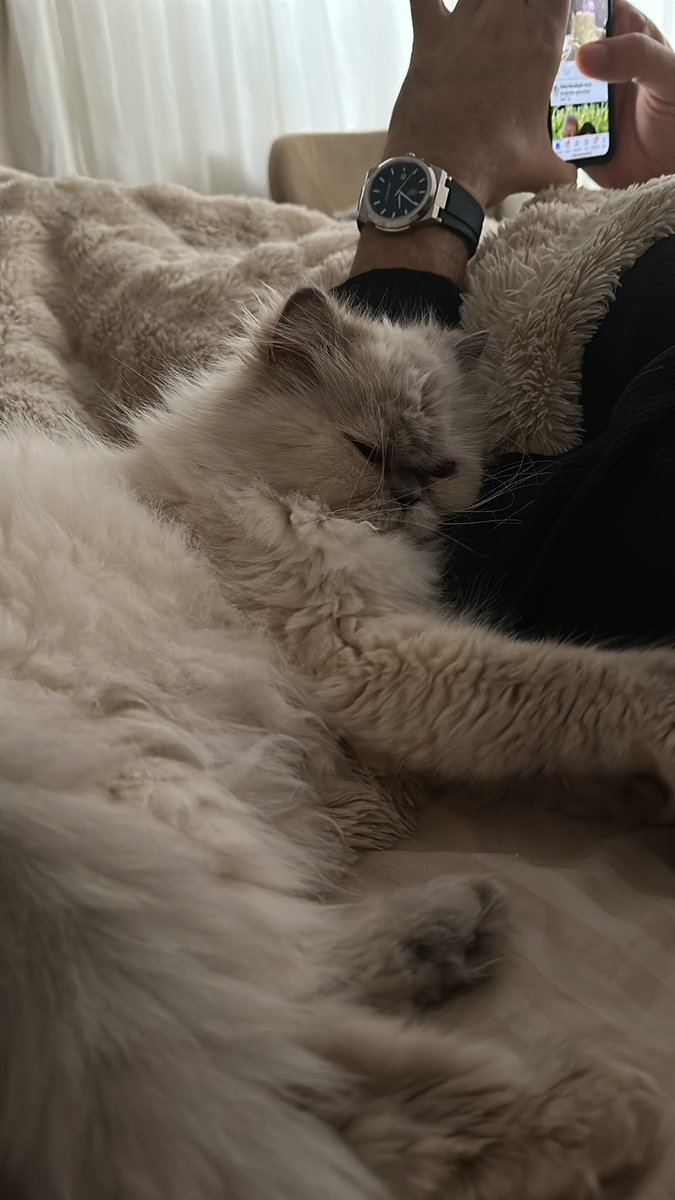 Babilim emmmbivinci aşkım