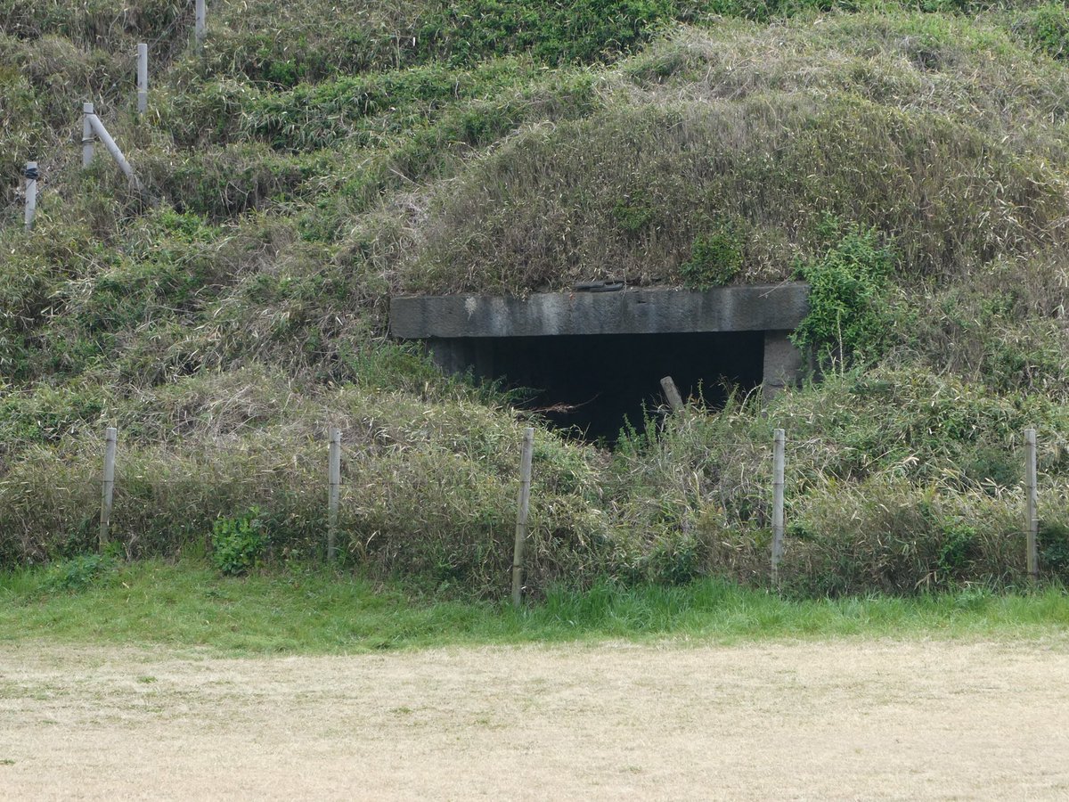 Phil Curme 🥾🪖 tweet media