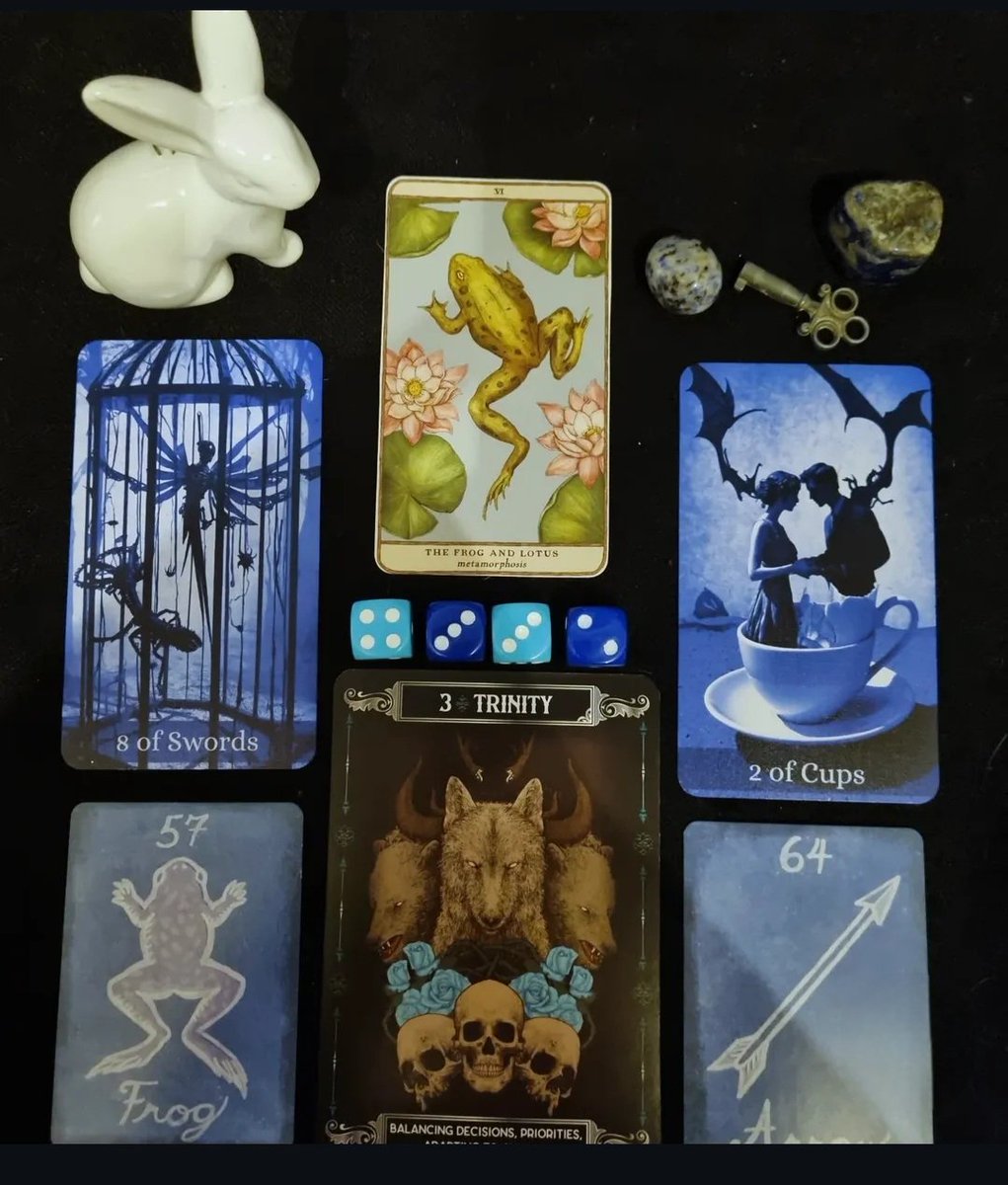 White Rabbit Oracles tweet media