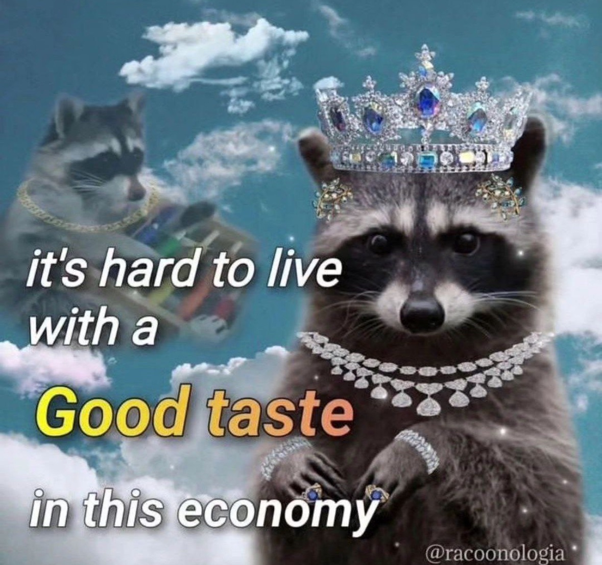 raccoon aesthetic. tweet media