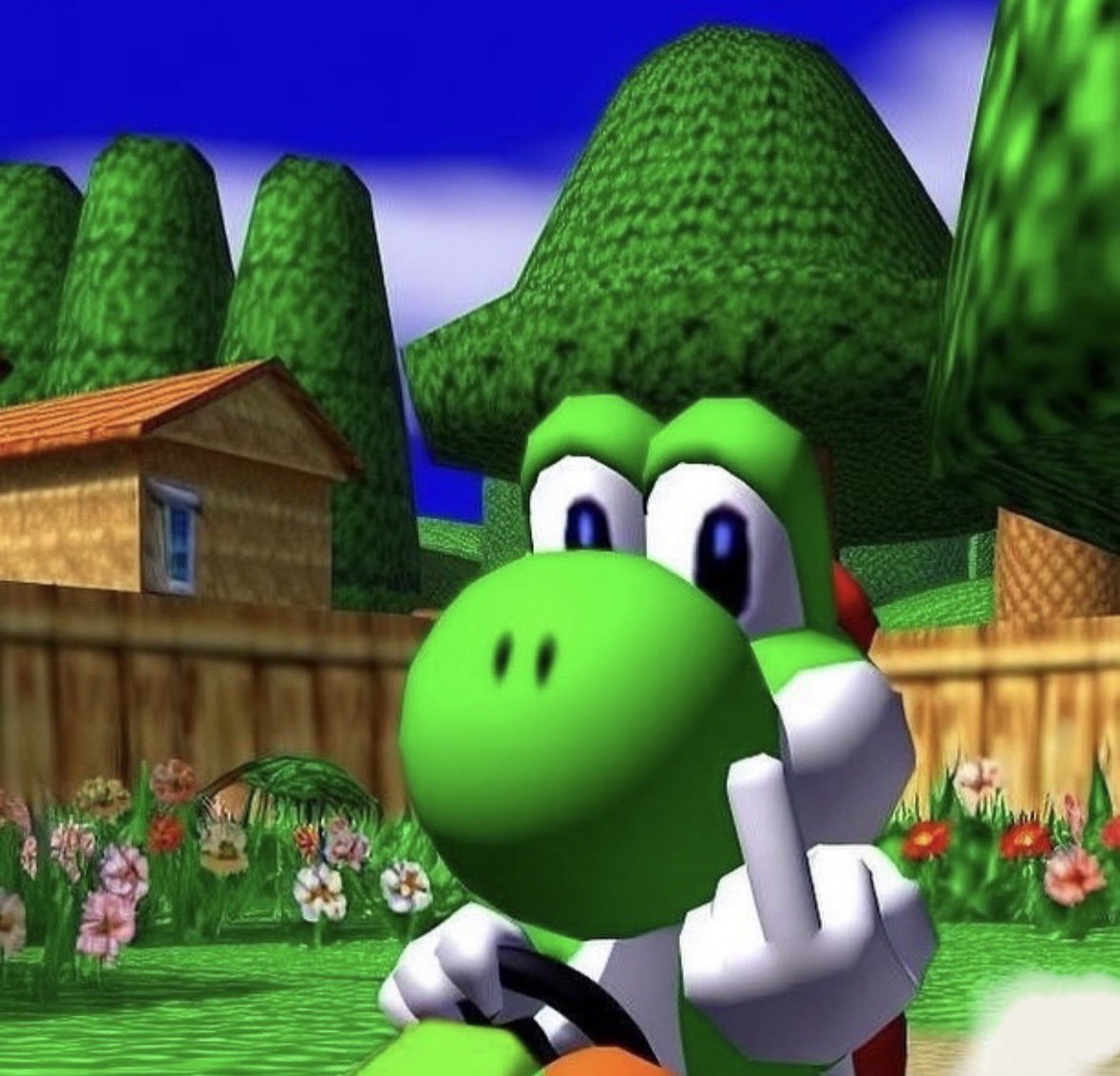 raccoon aesthetic. tweet media