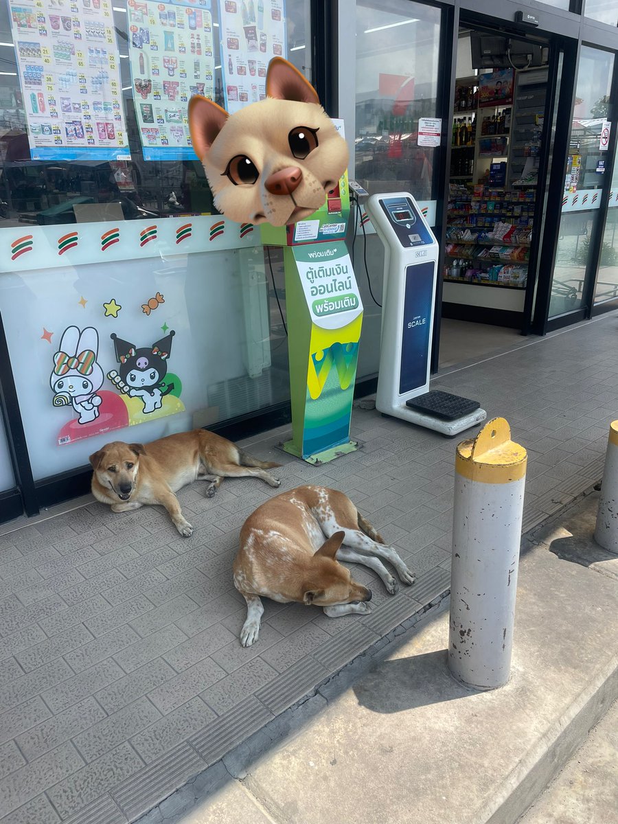 Personal Thailand tweet media