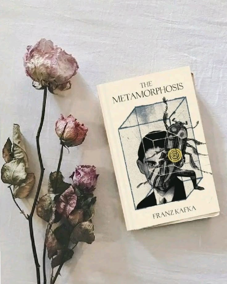 ma 🌼 florescence tweet media