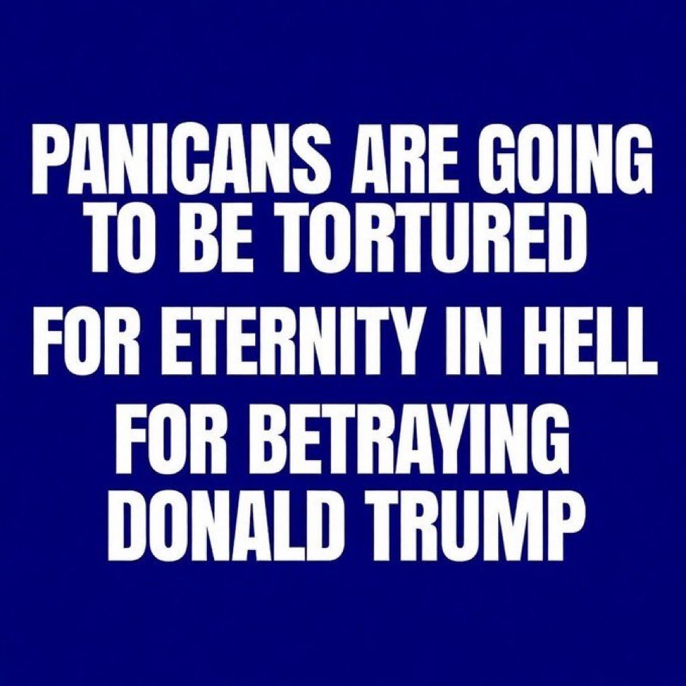 STORM (stealer of memes)🇺🇸🍊 tweet media