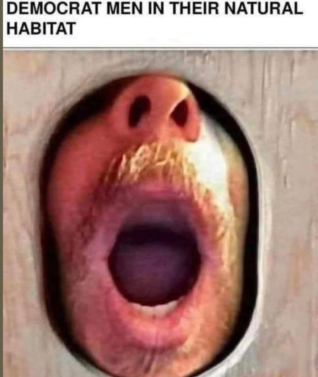 Sassafrass84 tweet media