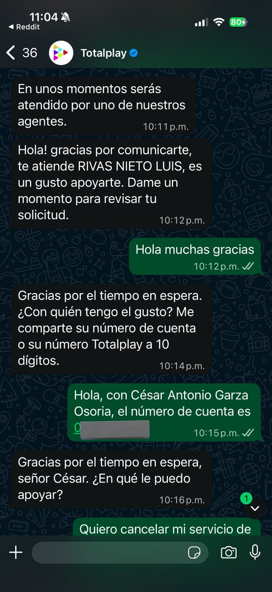 Cesar MD tweet media