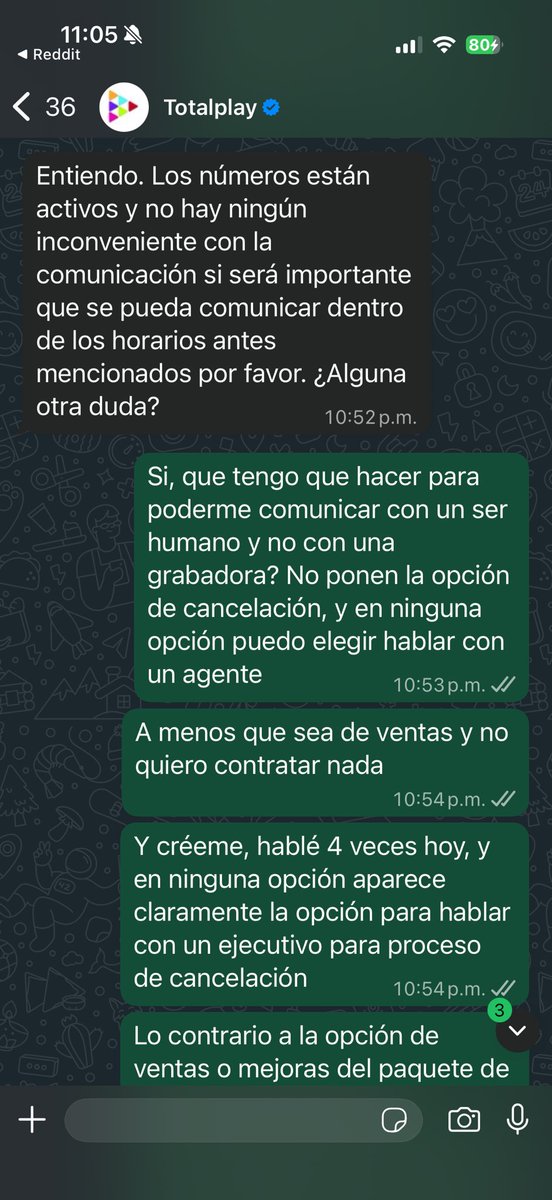 Cesar MD tweet media