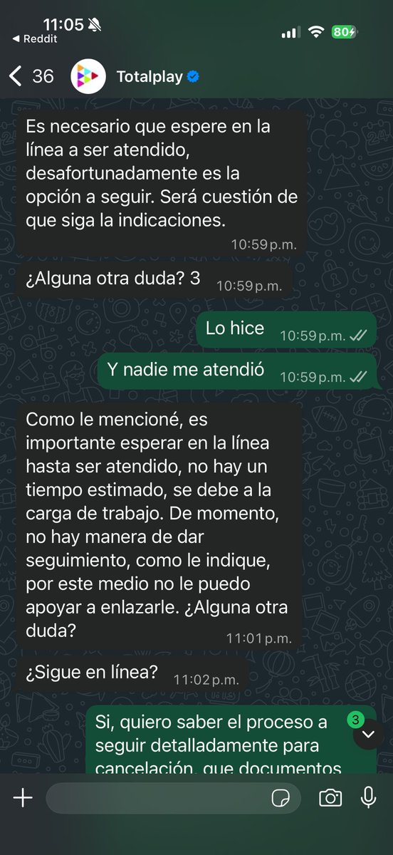 Cesar MD tweet media