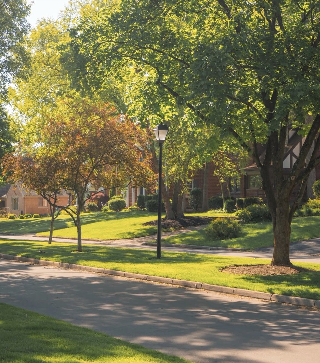 𝑭𝒂𝒓𝒏𝒂𝒛 𝑨𝒍𝒊 𝑨𝒚𝒚𝒂𝒛 tweet media