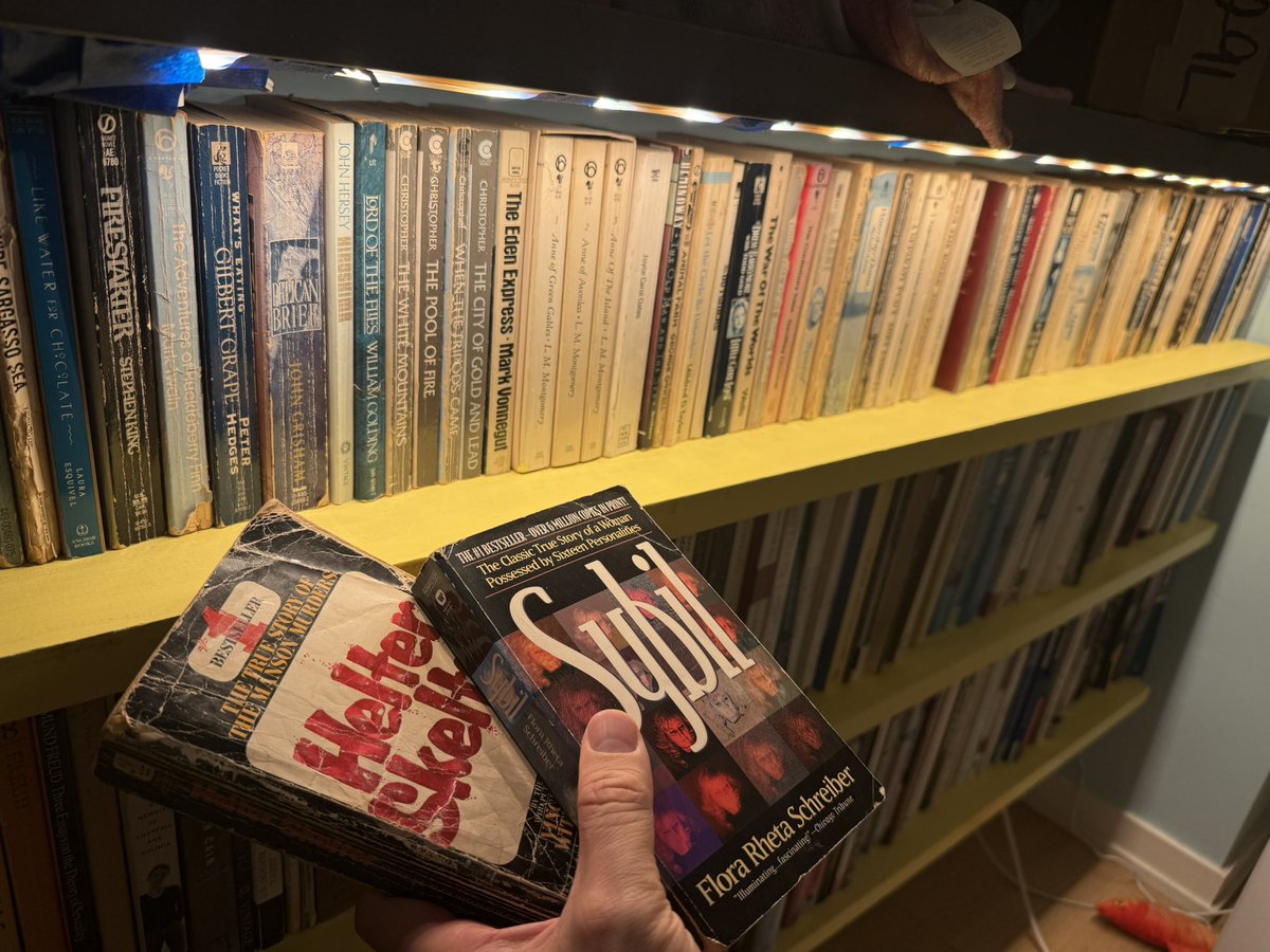 Benjamin Ryan tweet media