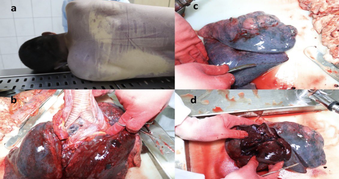 معاذ عيد - جنائيات tweet media