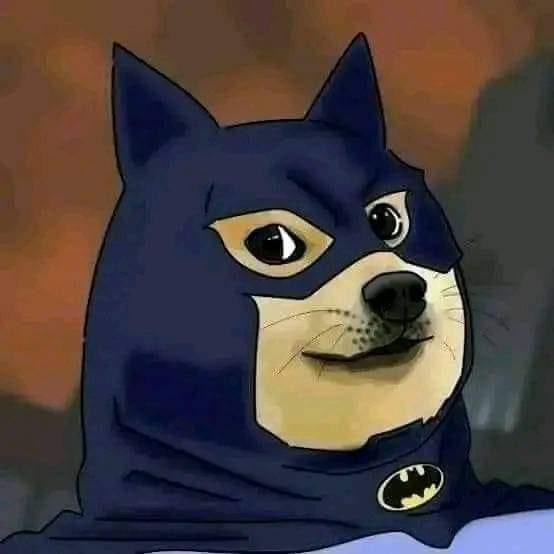 WareHouse 🦅 tweet media