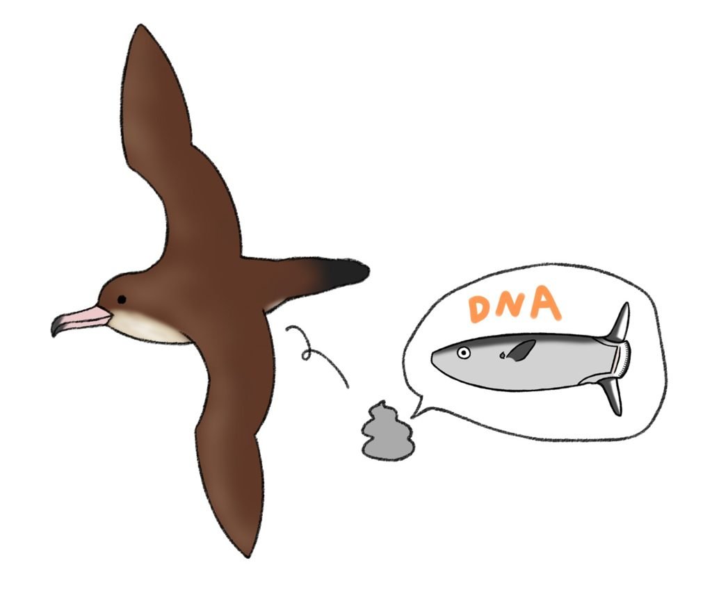 Lab BRAINS(ラボブレインズ)【公式】 tweet media