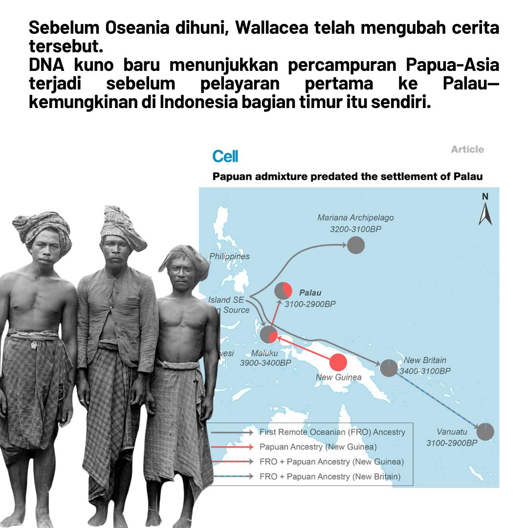 K@t@- Indonesian Heritage & Prehistory tweet media