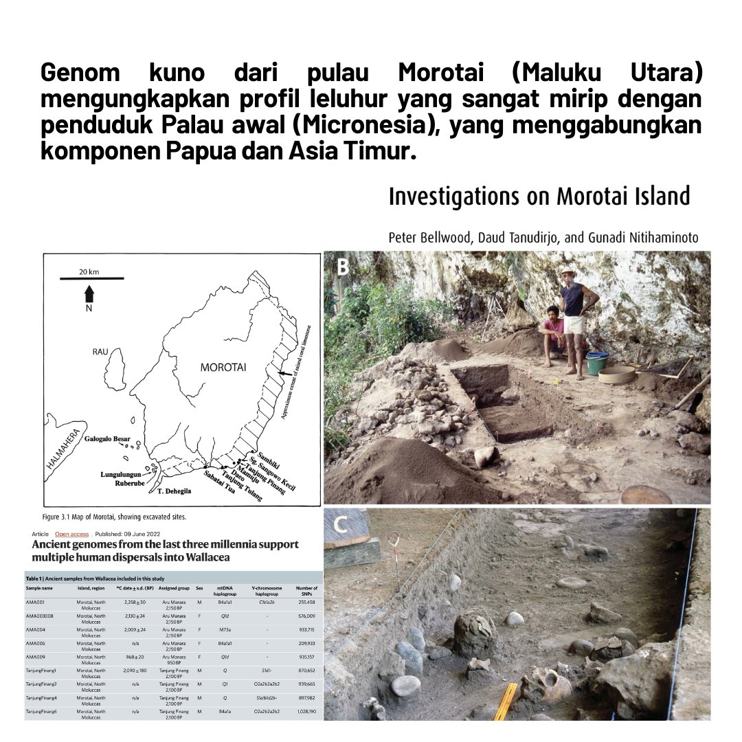 K@t@- Indonesian Heritage & Prehistory tweet media