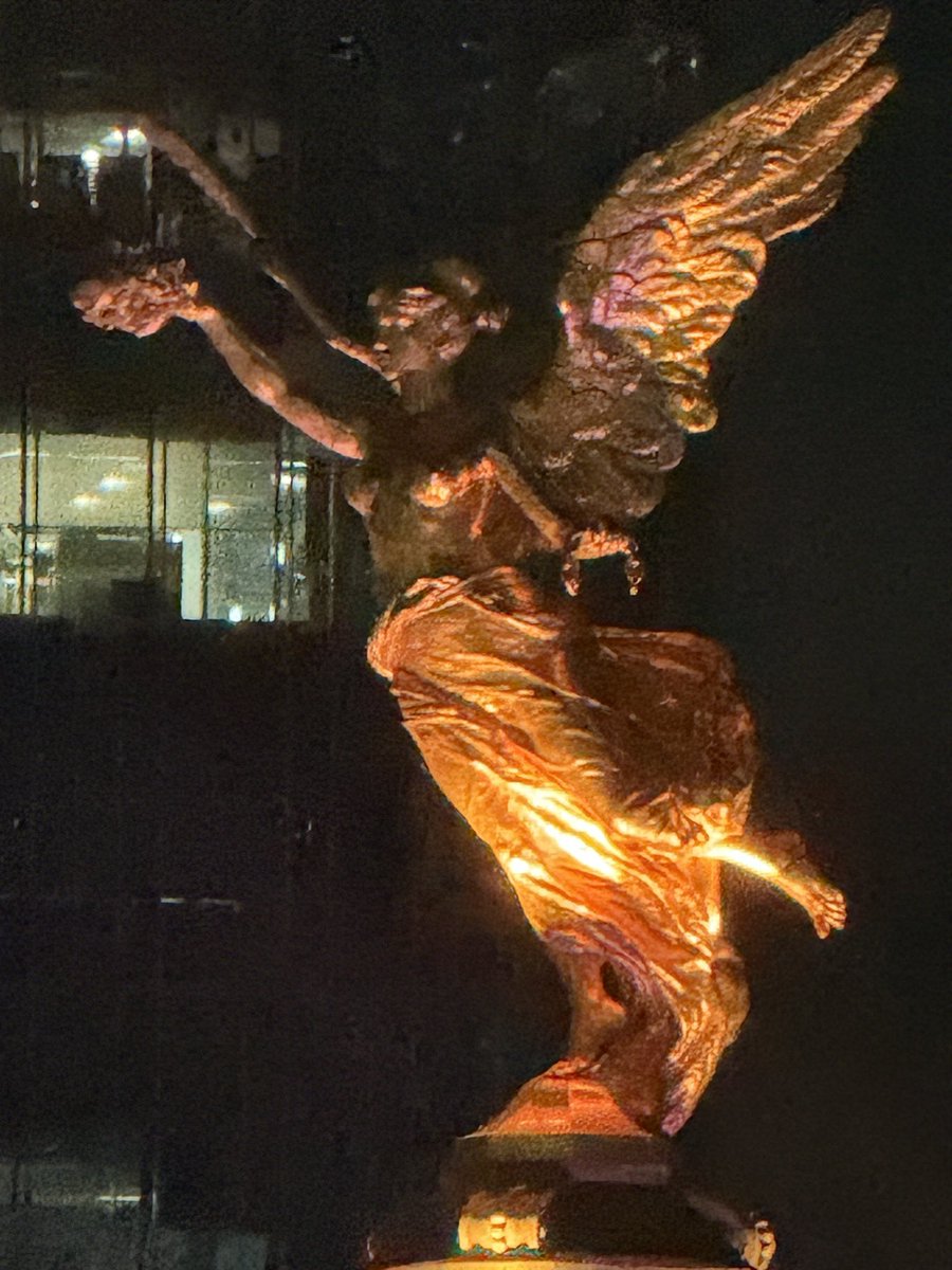 Alma Maldonado tweet media