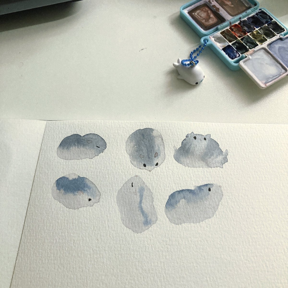 NORI STAR CREAM tweet media