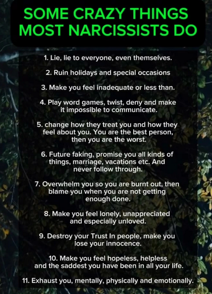 The Narcissist Box tweet media