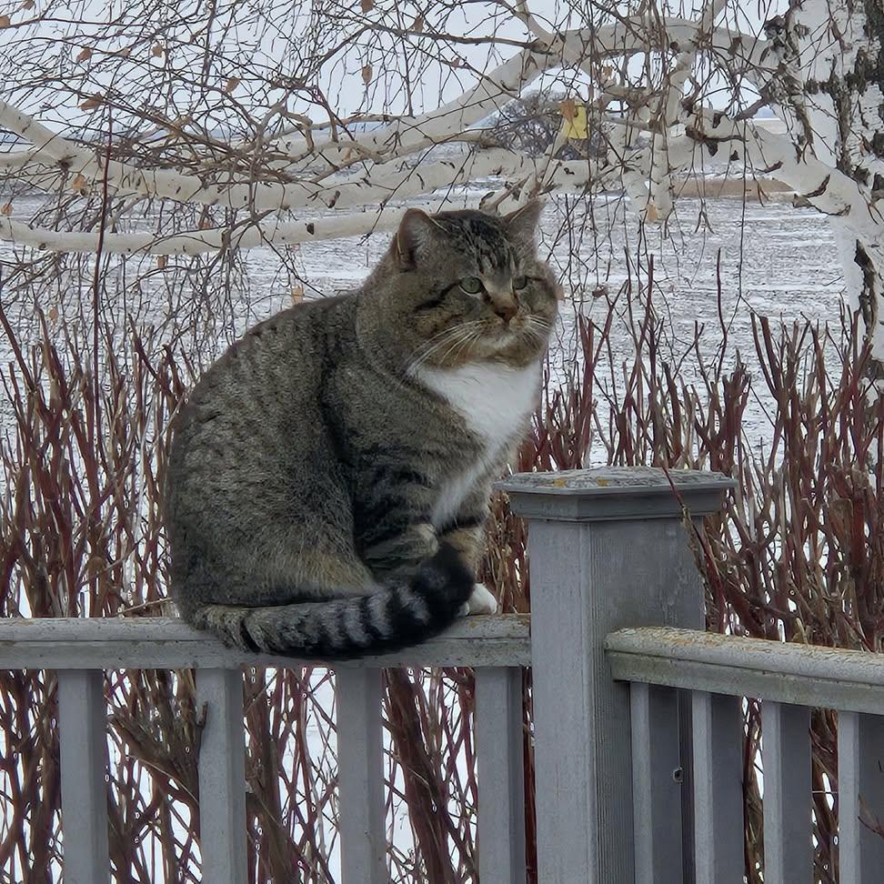 Sara Mary ⭐❤️ tweet media