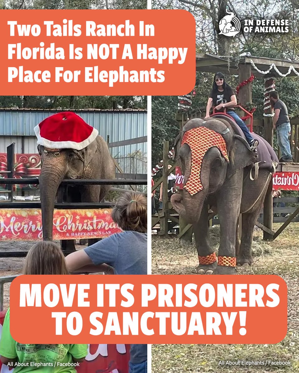 In Defense Of Animals tweet media