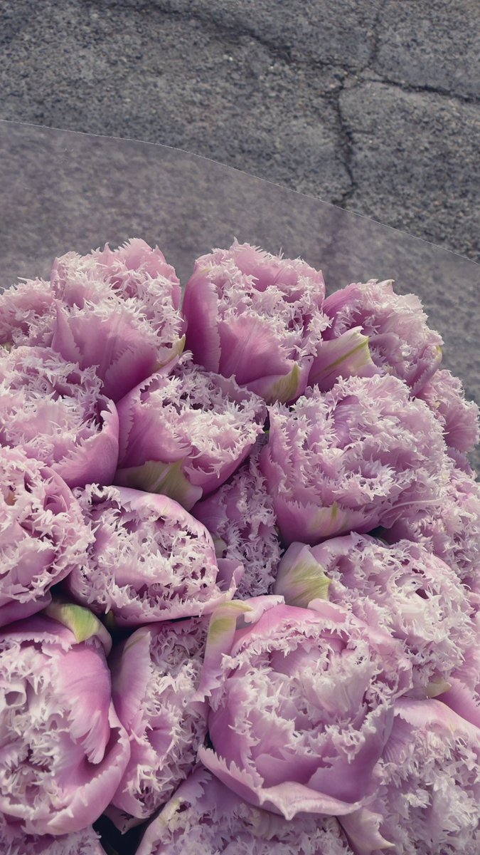 EL 🍭🎭My colourful movie🎞️ tweet media