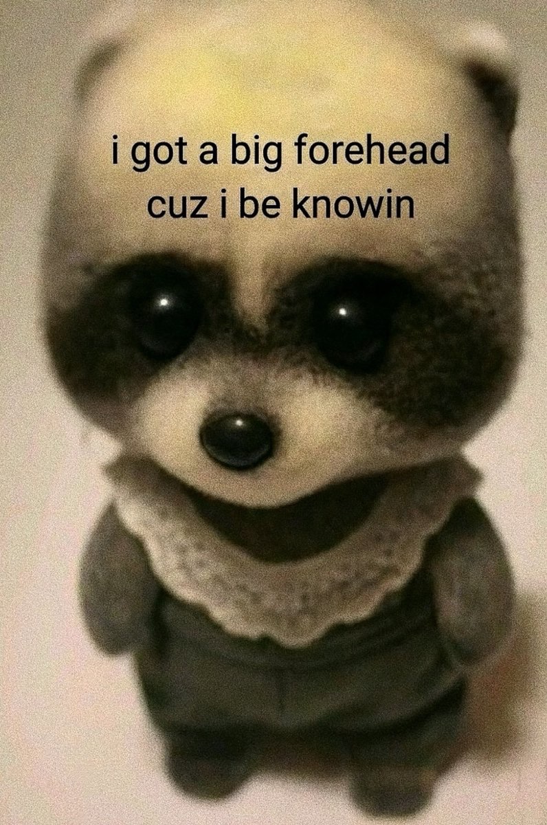 raccoon aesthetic. tweet media