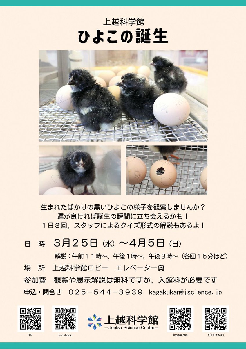 上越市 tweet media