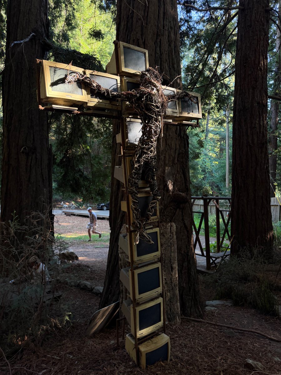 aishwarya🍎 tweet media