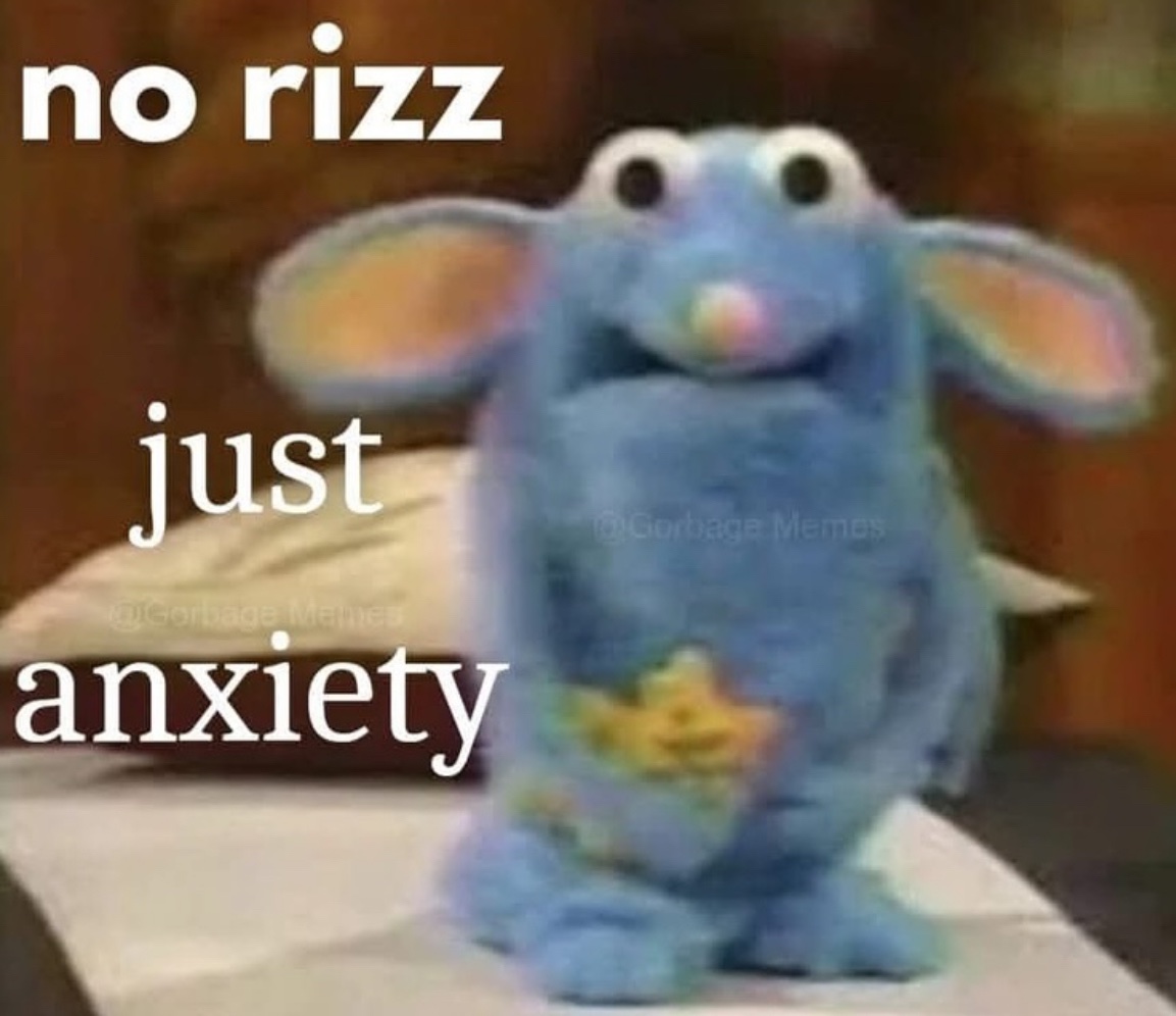 raccoon aesthetic. tweet media