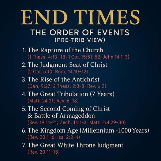 Falthman71 tweet media