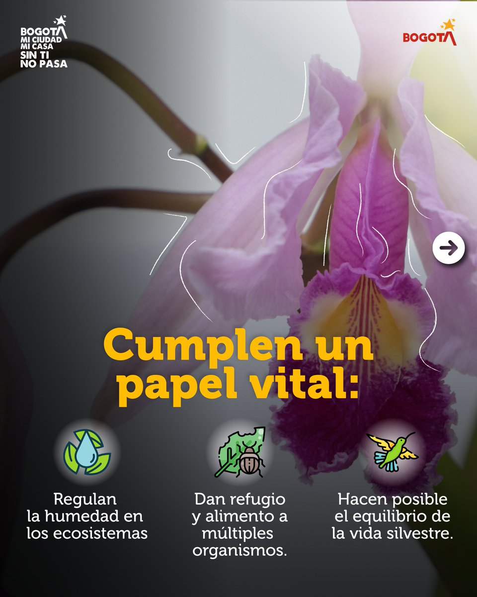 Secretaría de Ambiente tweet media