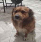 𝓒𝓱𝓻𝓲𝓼 𝓮𝓷 𝓬𝓱𝓻𝓲𝓼𝓲𝓼 tweet media