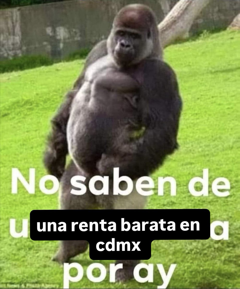 sam rocks tweet media