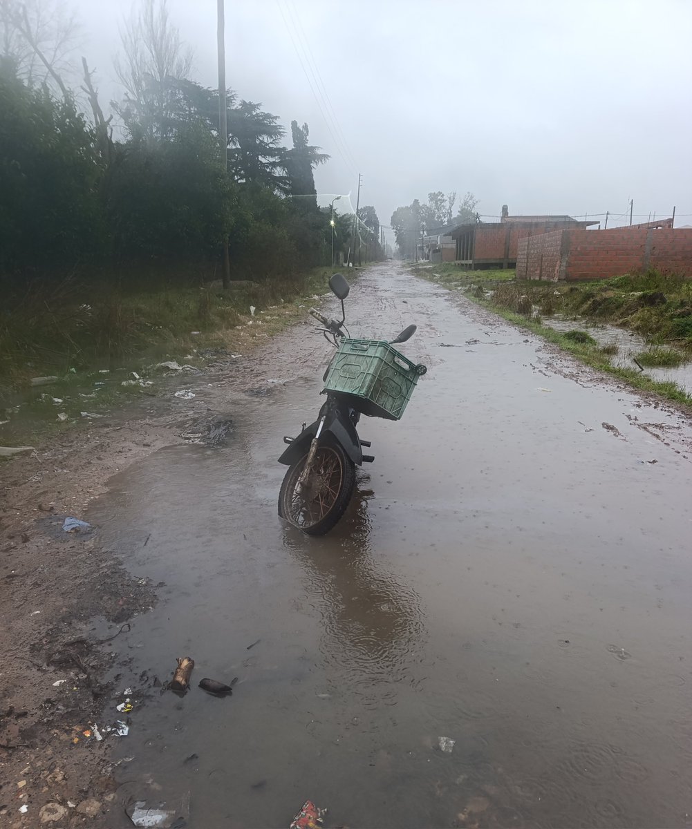 Flavio Arenales tweet media