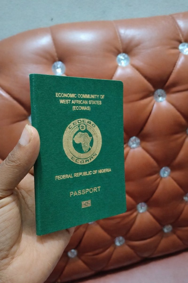 Big Nifer 🥒 tweet media