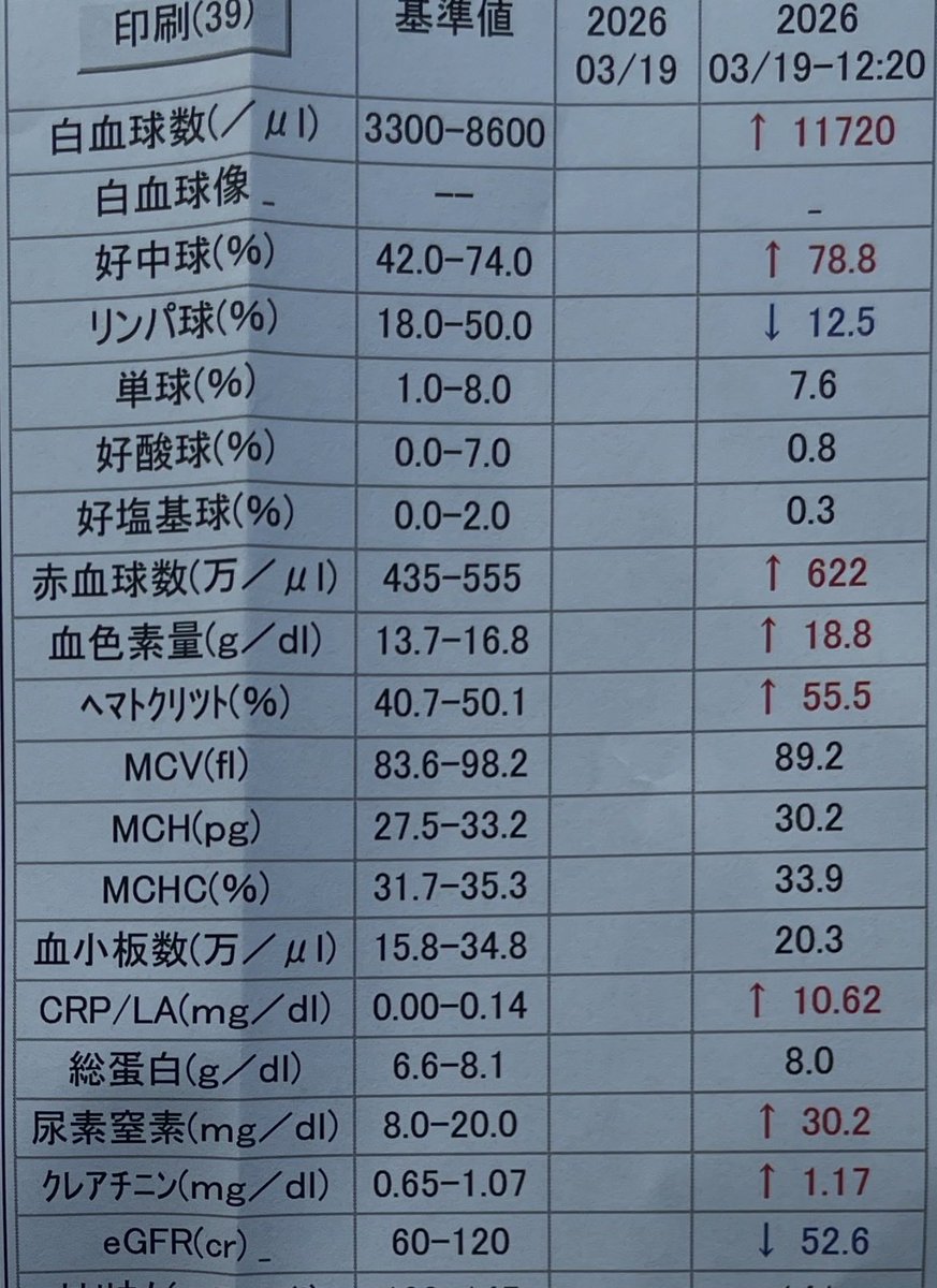 hoge_emon's tweet photo. 溶連菌でダウン。白血球は1万超え、CRPは10.62、派手にドンパチやってやがる。そりゃ全身がくっそダルいはずだ。 https://t.co/PKyKmNdJlM