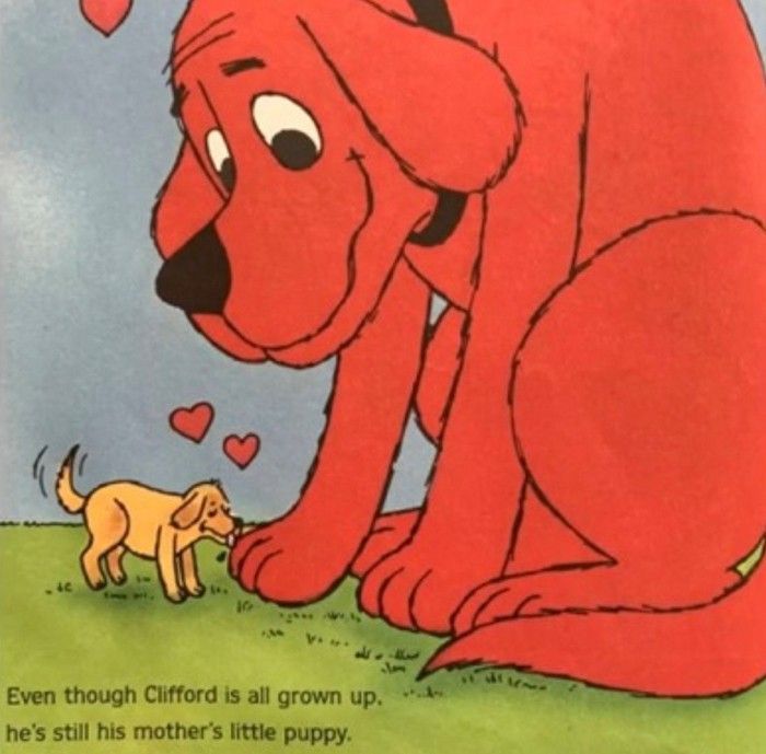 caninepoetry tweet media