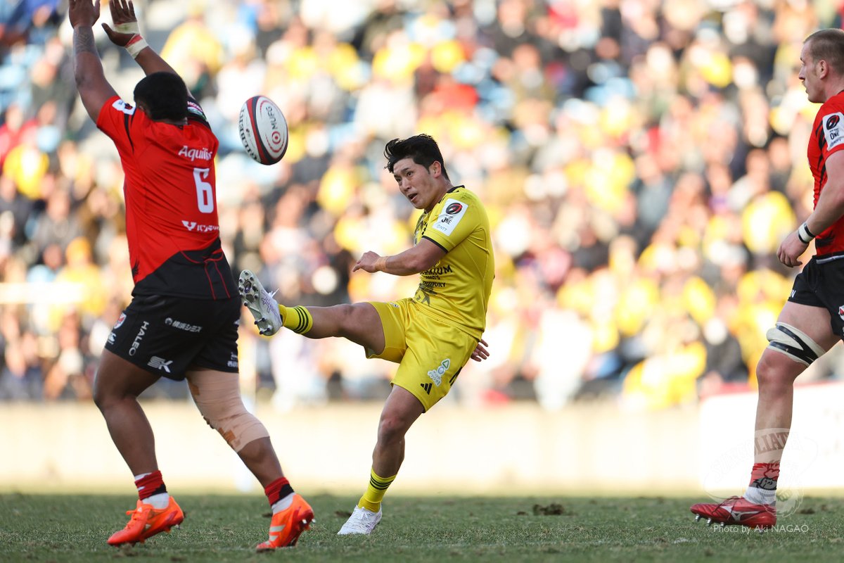 サンゴリアス君 tweet media