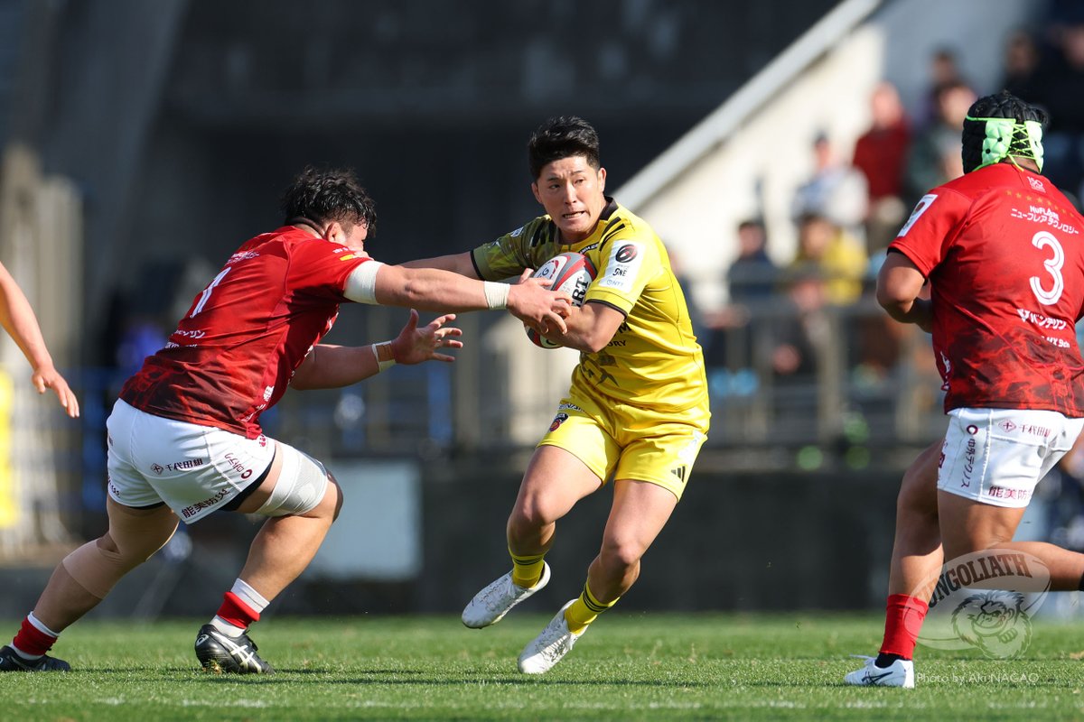 サンゴリアス君 tweet media