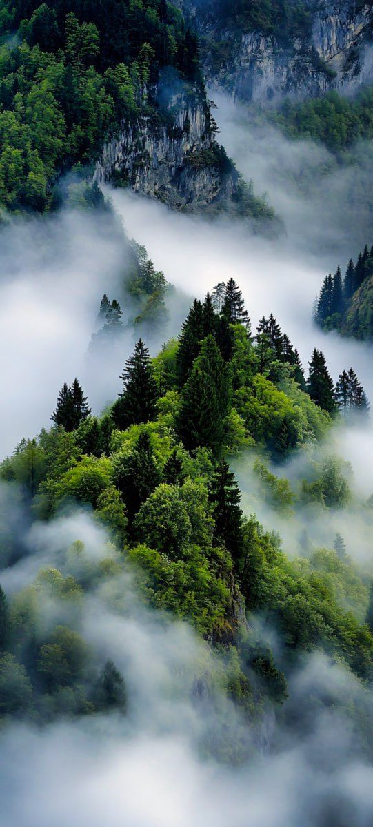 bensalem abdezine tweet media