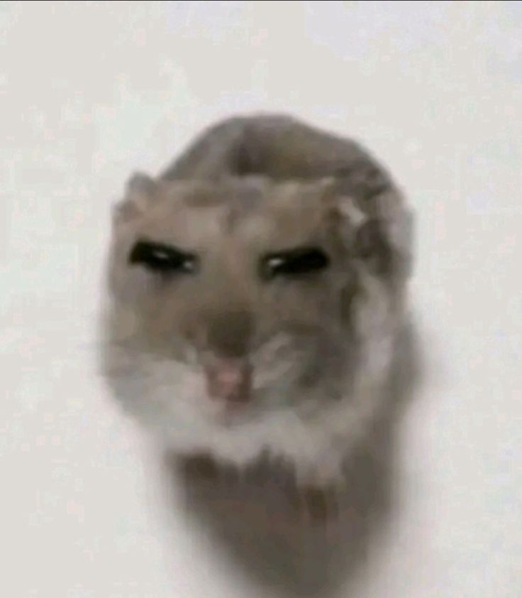 Lann 🧙 (LannIAm) tweet media